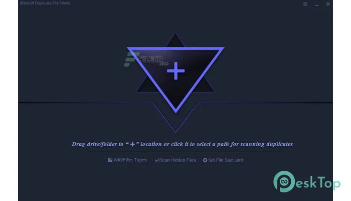下载 iBeesoft Duplicate File Finder  4.0 免费完整激活版