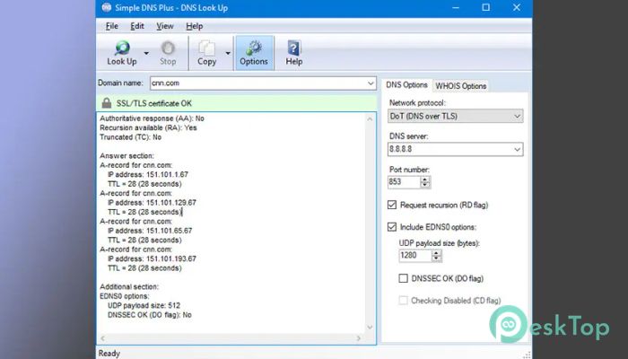 Descargar Simple DNS Plus 9.1 Build 108 Completo Activado Gratis