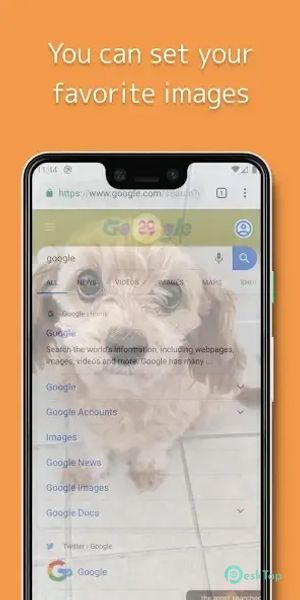 Privacy Filter Simple 2.6.2 APK MOD تحميل مجاني كامل