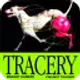aescripts-tracery_icon