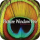 picture-window-pro-latest_icon