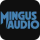 Mingus Audio Mingus