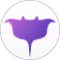 Manta