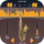 Audio Modeling SWAM Solo Woodwinds V3