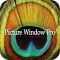 Picture Window Pro Latest