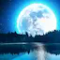 Relaxing Music: Sleep Sounds