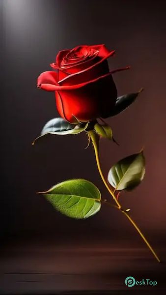 Rose Wallpaper Flower 3D image