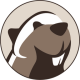 DBeaver_icon