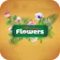 Aescripts Flowers Bloom