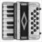 Accordion Piano Cassoto Game