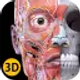 anatomy-3d-atlas_icon