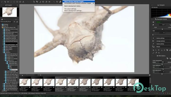 Descargar SILKYPIX RAW Converter 1.0.10.0 Completo Activado Gratis