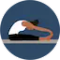 Bend: Stretching & Flexibility