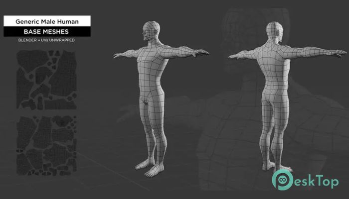 Universal Human Male Head Base Mesh