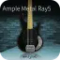 Ample Sound Ample Metal RAY5