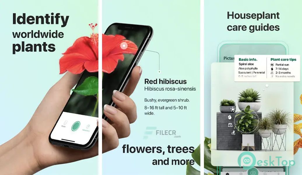 PictureThis - Plant Identifier 5.1.1 APK MOD 完整免费下载