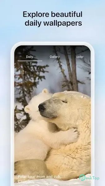 Microsoft Bing Search 31.1.430320014 APK MOD 完整免费下载