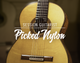 Native-Instruments-Session-Guitarist-Picked-Nylon_icon