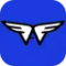 AngelWings