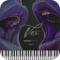 True Soul Vibes RnB Vox 