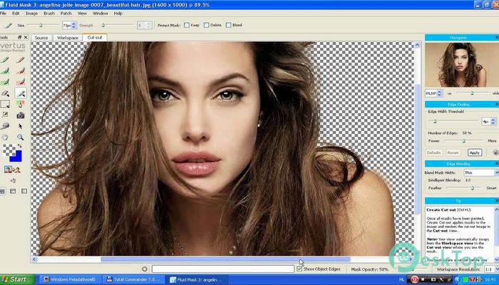 Download Fluid Mask 3 3.3.17.63450 Free Full Activated