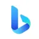 microsoft-bing-search_icon