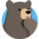 remembear_icon