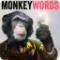 Aescripts - MonkeyWords