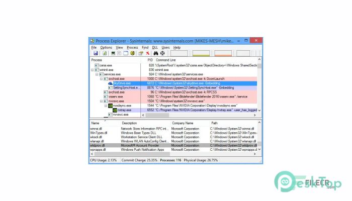 تحميل برنامج Process Explorer  17.06 برابط مباشر