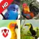 Araçlar ve Yardımcı Programlar 32.0 icon