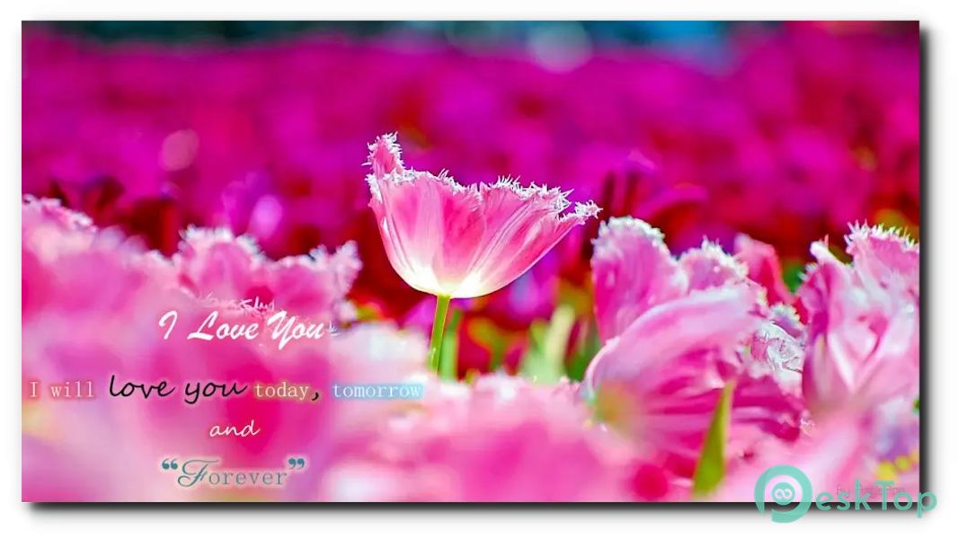 Thank you card messages 9.06.2.2 APK MOD تحميل مجاني كامل