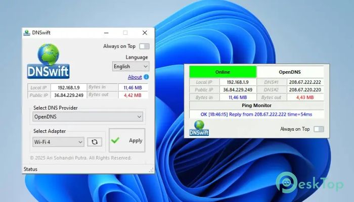 تحميل برنامج DNSwift 1.1.2025.06.12 برابط مباشر
