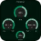 Denise Audio Noize 2