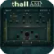 Odeholm Audio Thall Amp