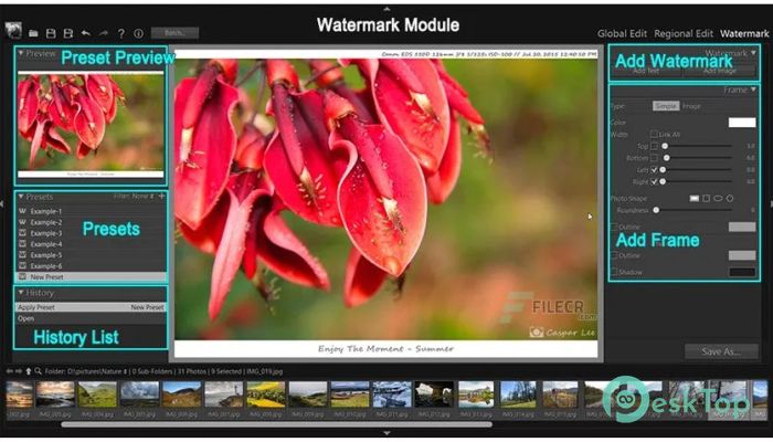 Скачать PT Photo Editor Pro Edition  5.6.7.0 полная версия активирована бесплатно