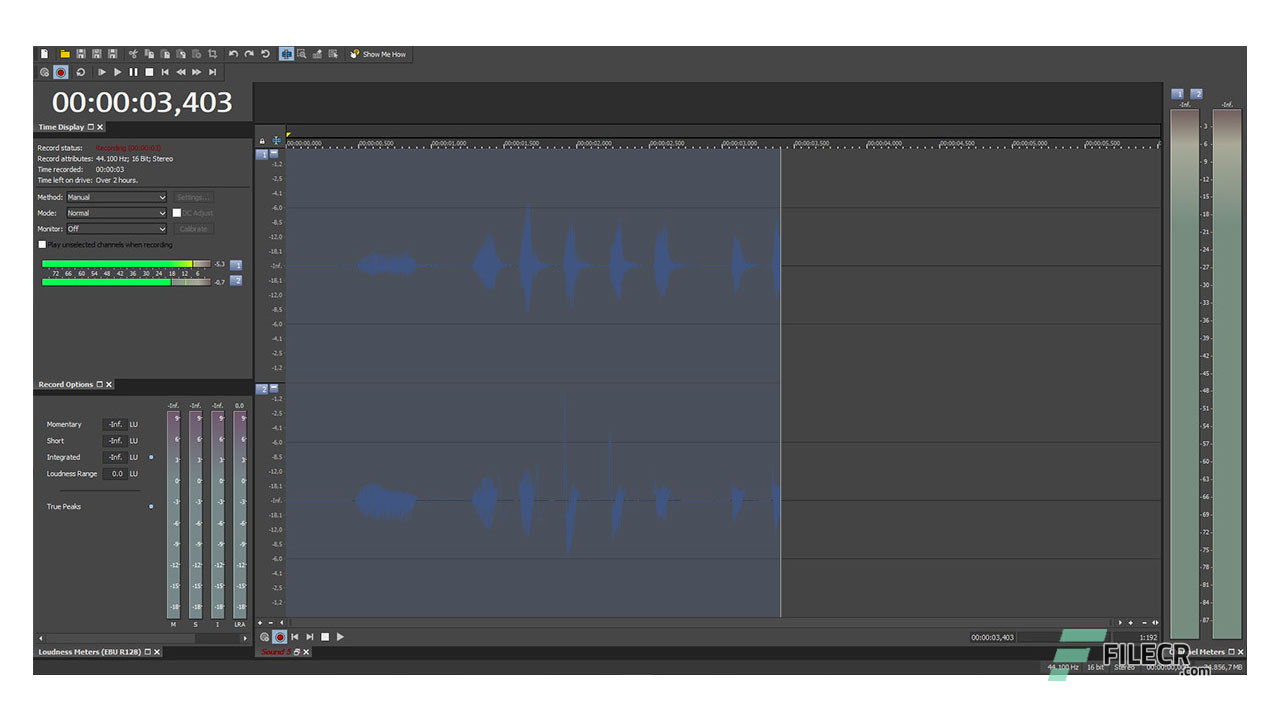 instal MAGIX Sound Forge Audio Studio Pro 17.0.2.109 free