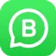 whatsapp-business_icon