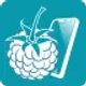 raspcontroller_icon