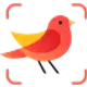 picture-bird-bird-identifier_icon