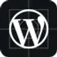wordpress-studio_icon