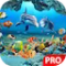 Fish Live Wallpaper 3D Aquarium Background HD PRO