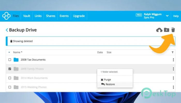 Sync for Windows 5.0.32 Tam Sürüm Aktif Edilmiş Ücretsiz İndir