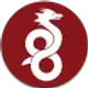 wireguard_icon