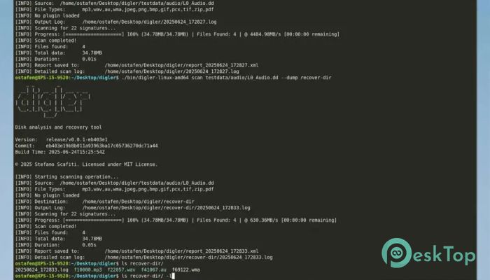 下载 Digler  0.1.0 免费完整激活版
