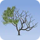 Pixarra-TwistedBrush-Tree-Studio_icon