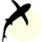 Benthic ImpExpPro