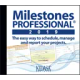 milestones-professional-2017_icon