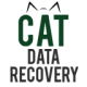 cat-data-recovery_icon