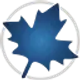 maplesoft-maple_icon