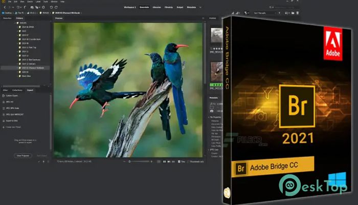 Скачать Adobe Bridge 2025  (v15.0.0.397) полная версия активирована бесплатно